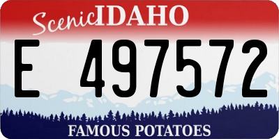 ID license plate E497572
