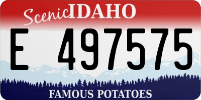 ID license plate E497575