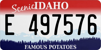ID license plate E497576