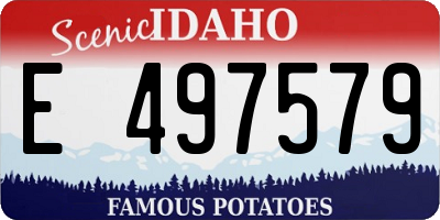 ID license plate E497579