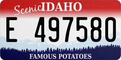 ID license plate E497580
