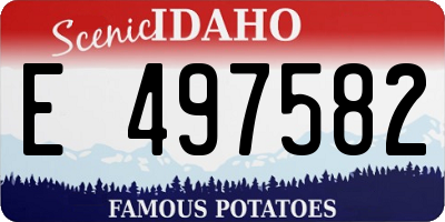 ID license plate E497582