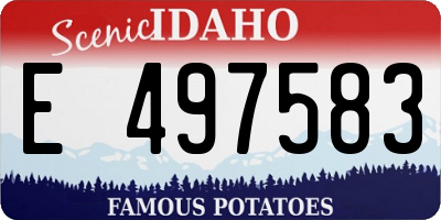 ID license plate E497583