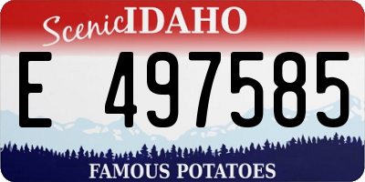 ID license plate E497585