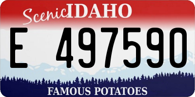 ID license plate E497590