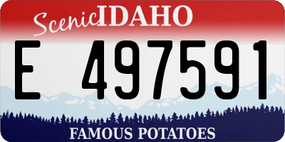 ID license plate E497591