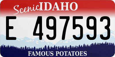 ID license plate E497593