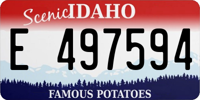 ID license plate E497594
