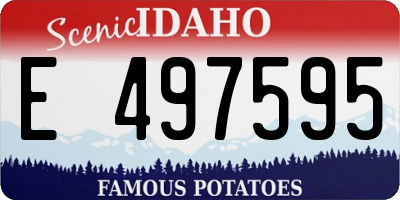 ID license plate E497595