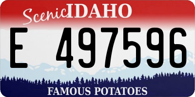 ID license plate E497596