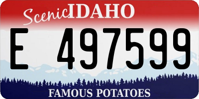 ID license plate E497599