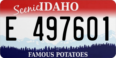 ID license plate E497601