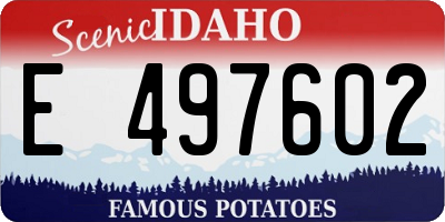 ID license plate E497602