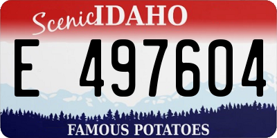 ID license plate E497604
