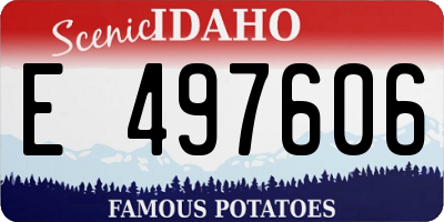 ID license plate E497606