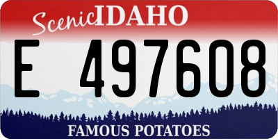 ID license plate E497608