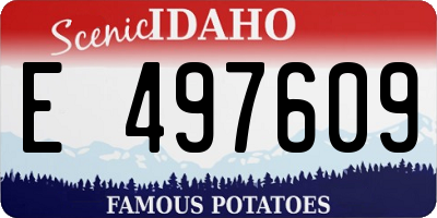 ID license plate E497609