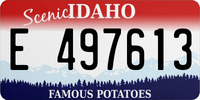 ID license plate E497613