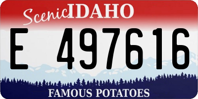 ID license plate E497616