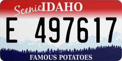 ID license plate E497617