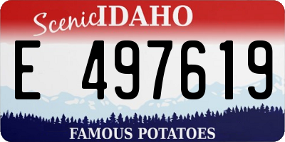 ID license plate E497619