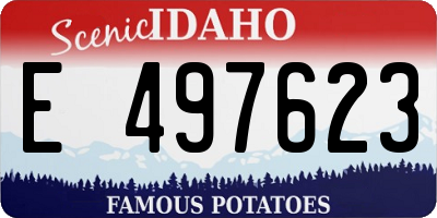 ID license plate E497623