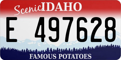 ID license plate E497628