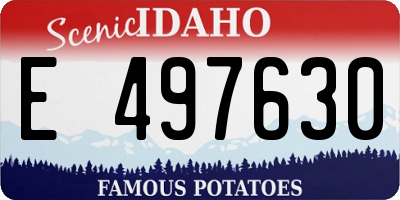 ID license plate E497630