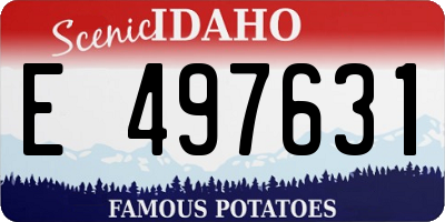 ID license plate E497631