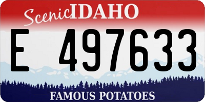 ID license plate E497633
