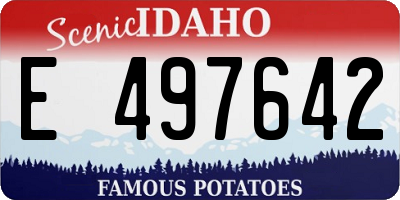 ID license plate E497642