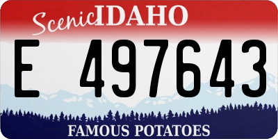 ID license plate E497643