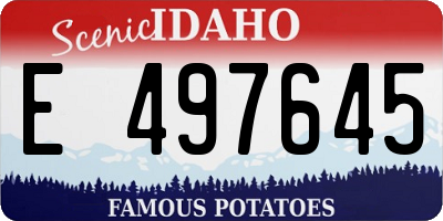 ID license plate E497645