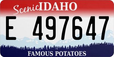 ID license plate E497647
