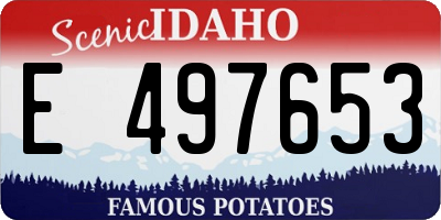 ID license plate E497653