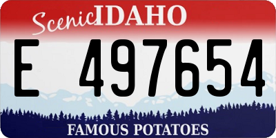 ID license plate E497654