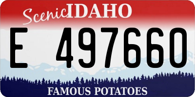ID license plate E497660