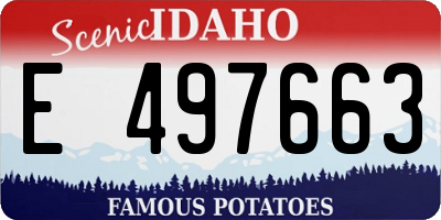 ID license plate E497663