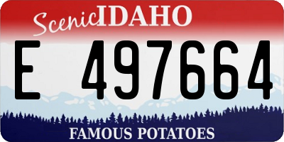 ID license plate E497664