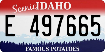 ID license plate E497665