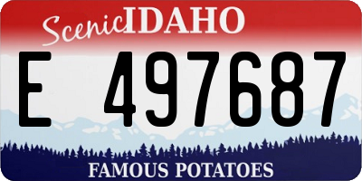 ID license plate E497687