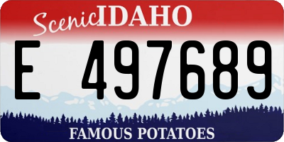 ID license plate E497689