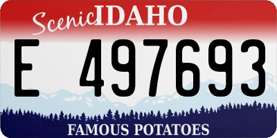 ID license plate E497693