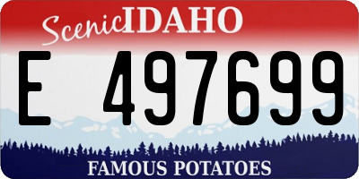 ID license plate E497699