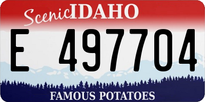 ID license plate E497704