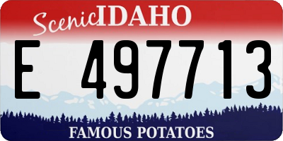 ID license plate E497713