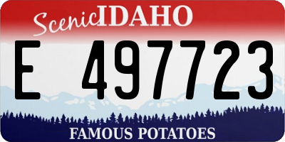 ID license plate E497723