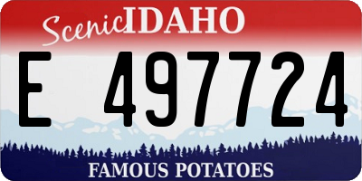 ID license plate E497724
