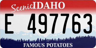 ID license plate E497763
