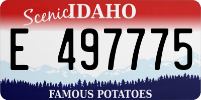 ID license plate E497775